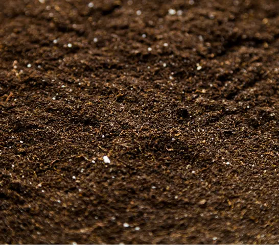 Tierra de hojas para jardines en Puerto Varas